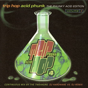 Trip Hop Acid Phunk Vol. 4