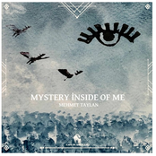 Mystery Inside of Me