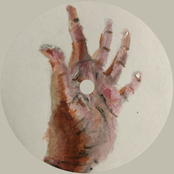 i must love imperfect being loulou