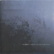 Dazzle me with Transience