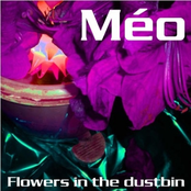 Flowers in the Dustbin