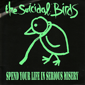 Adventures Of The Brain by The Suicidal Birds