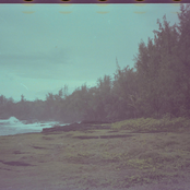 Sleep Through The Day