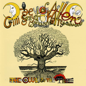 The Owl & The Tree