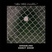 "After While Crocodile..."