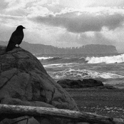Olympic waves and beaches