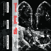 Offerings From Serpentine Currents