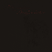 Wie ein r​ä​udiger Stra​ß​enk​ö​ter