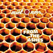 From The Ashes