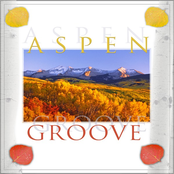 Aspen Groove
