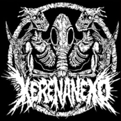 Kerenaneko / Cacasonica