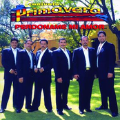 Perdóname Mi Amor by Conjunto Primavera