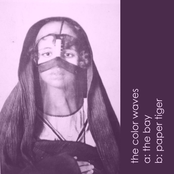 The Bay / Paper Tiger