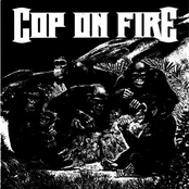 Tus Ilusiones Hacen de Ti Un Iluso