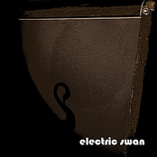 Electric Swan by Electric Swan