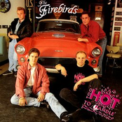 You Gotta Love Somebody by The Firebirds