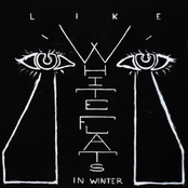 Like White Flats In Winter