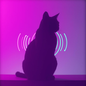 Meow-Phonk