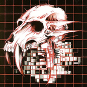 Skullgrid by Behold... The Arctopus