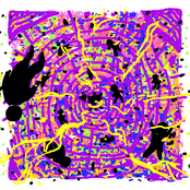 moiré patterns in my head