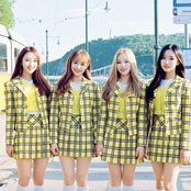 LOOΠΔ / YYXY