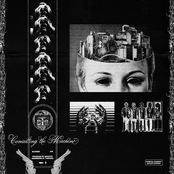 CONSULTING THE MACHINE