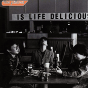 ビスケットハンマー by The Pillows