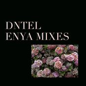 A Day Without Rain by Dntel