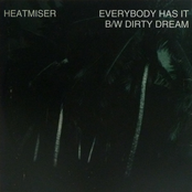 Everybody Has It by Heatmiser