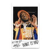 Want It Bad (feat. Nigo)