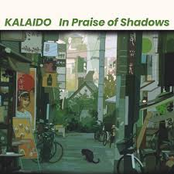 In Praise of Shadows