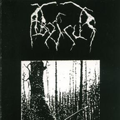 One Alone in Bloodstained Forest