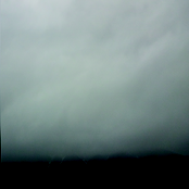 Nails Through Bird Feet