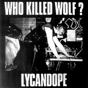 WHO KILLED WOLF?