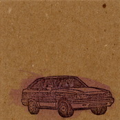 ylayali / lung cycles