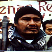 Tras el viento