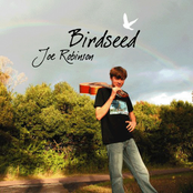 Joe Robinson: Birdseed