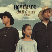 Blues Concerto by The Homemade Jamz Blues Band