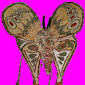 Compilation - New Weird American