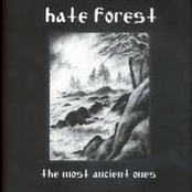 The Curse by Hate Forest