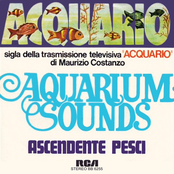 Acquario