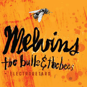 The War On Wisdom by Melvins