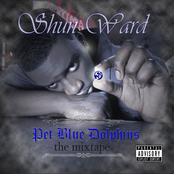 Pet Blue Dolphins (Official Mixtape)