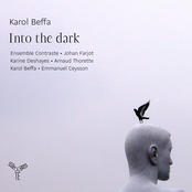 Karol Beffa: Into the dark