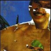 Form A Log + Totem Mold Growth Split