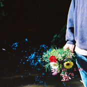 Seasons / Growth - Single