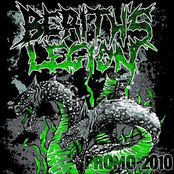 PROMO 2010