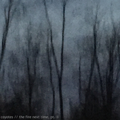 Coyotes/The Fire Next Time, Pt. II