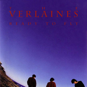 Overdrawn by The Verlaines