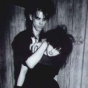 nick cave & lydia lunch